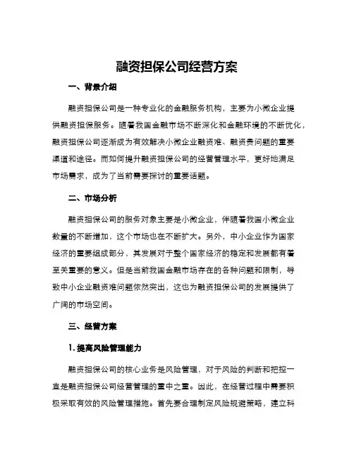 融资担保公司经营方案