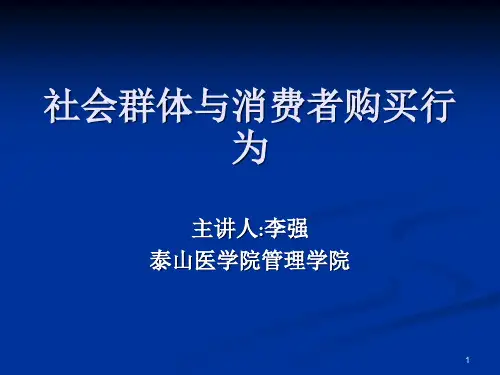 社会群体与消费者购买行为(PPT 37页)