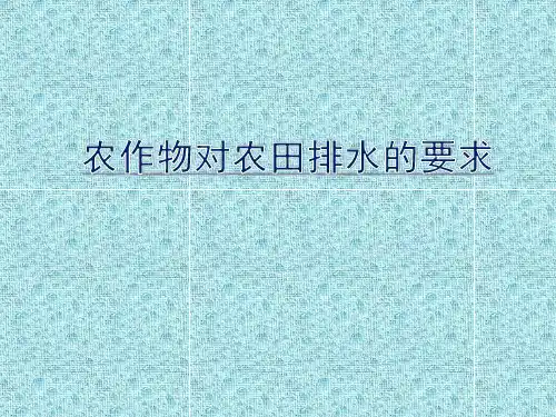 田间排水