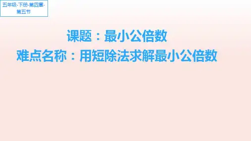 人教版数学五年级下册课件-4.5.1 短除法求最小公倍数1