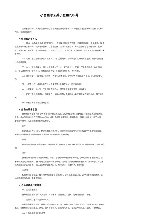 小金鱼怎么养小金鱼的喂养