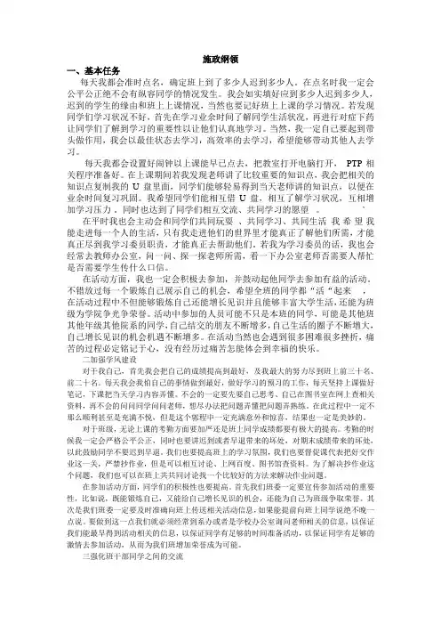 施政纲领