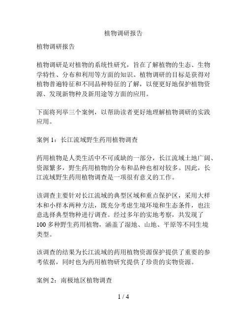 植物调研报告