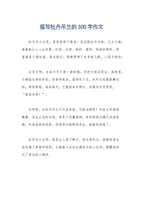 描写牡丹吊兰的300字作文