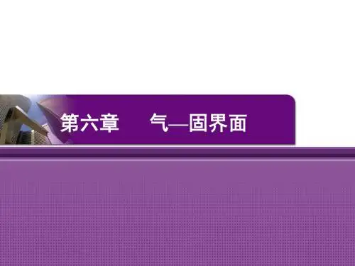 第六章 气—固界面