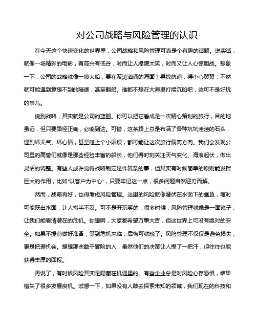 对公司战略与风险管理的认识