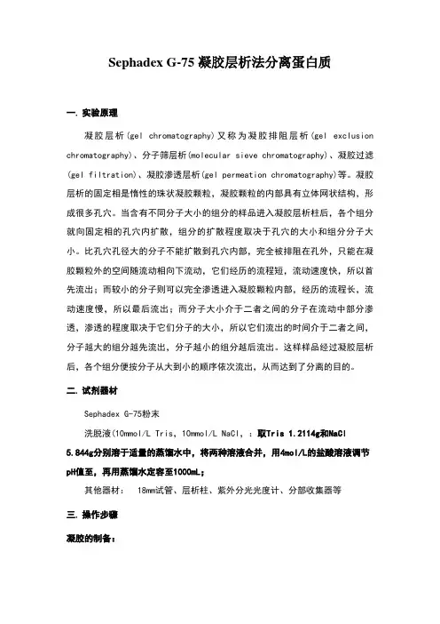 sephadexg-75凝胶层析法分离蛋白质