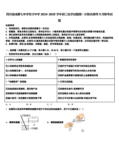 四川省成都七中学育才中学2024-2025学年初三化学试题第一次联合调考3月联考试题含解析