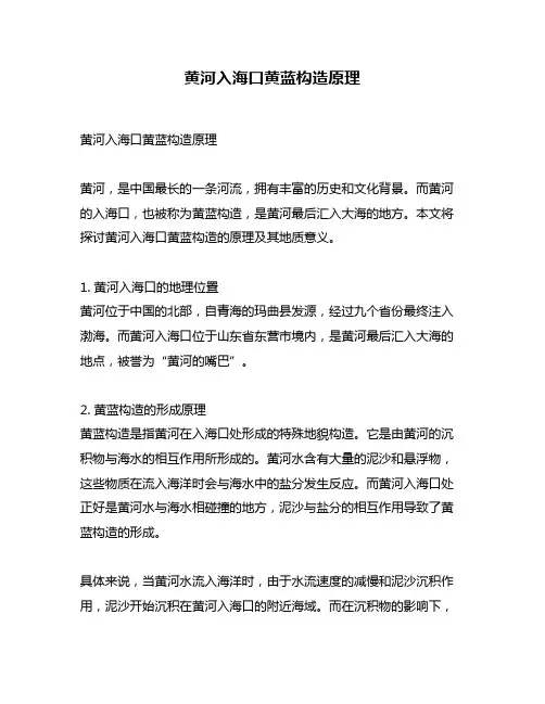 黄河入海口黄蓝构造原理