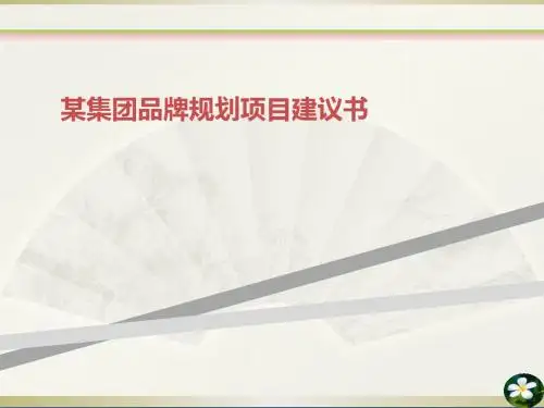 某集团品牌规划项目建议书
