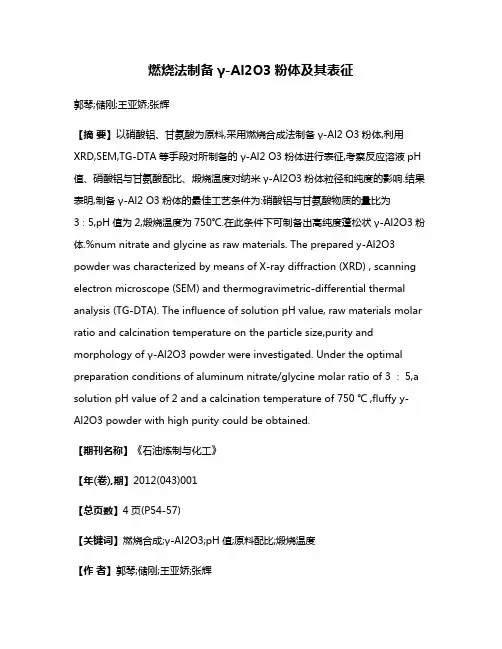 燃烧法制备γ-Al2O3粉体及其表征