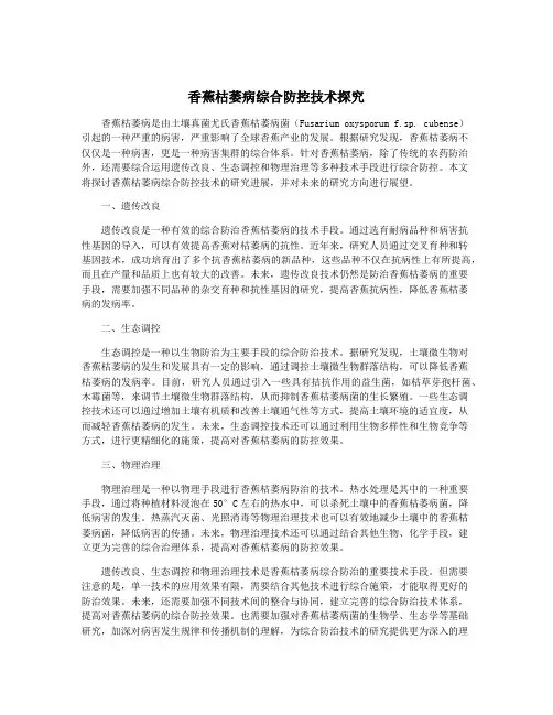 香蕉枯萎病综合防控技术探究