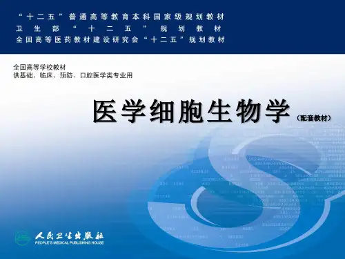 细胞膜与物质的穿膜运输