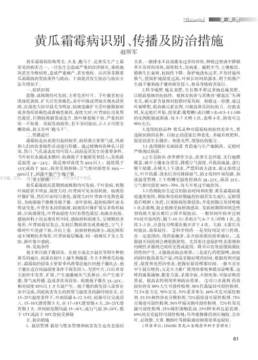 黄瓜霜霉病识别、传播及防治措施