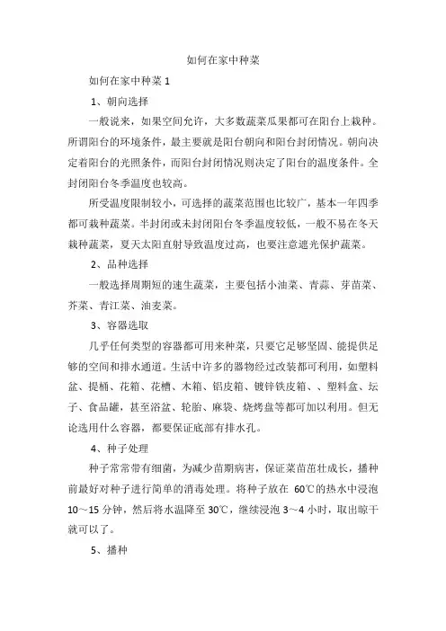 如何在家中种菜