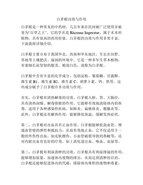 白茅根功效与作用