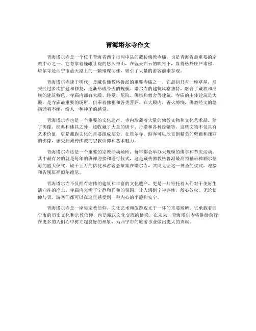 青海塔尔寺作文