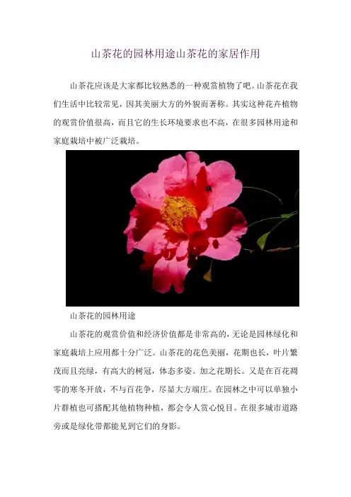 山茶花的园林用途 山茶花的家居作用
