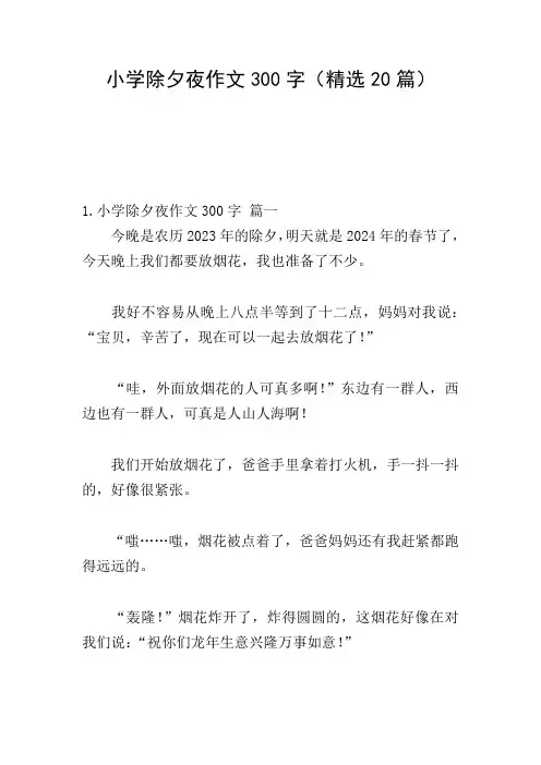 小学除夕夜作文300字(精选20篇)