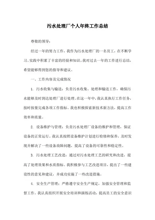 污水处理厂个人年终工作总结