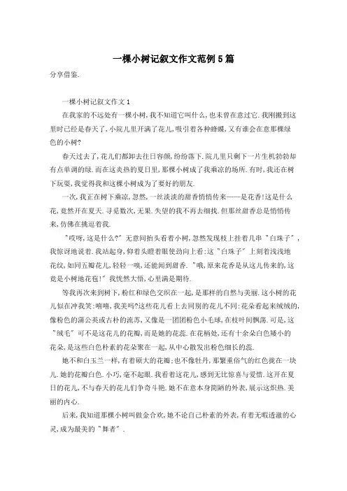 一棵小树记叙文作文范例5篇