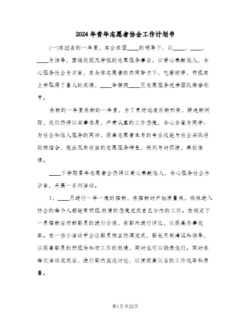 2024年青年志愿者协会工作计划书(五篇)