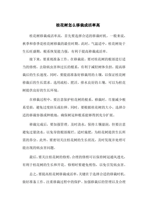 桂花树怎么移栽成活率高