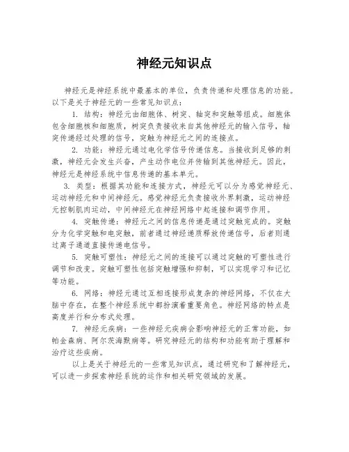 神经元知识点
