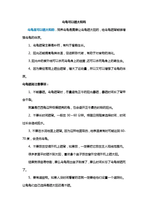 乌龟可以晒太阳吗