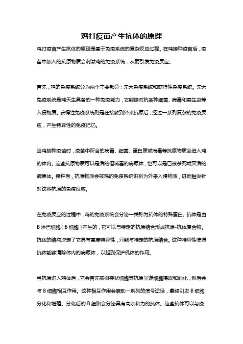 鸡打疫苗产生抗体的原理