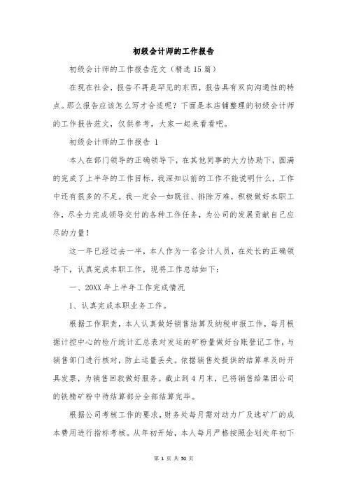 初级会计师的工作报告