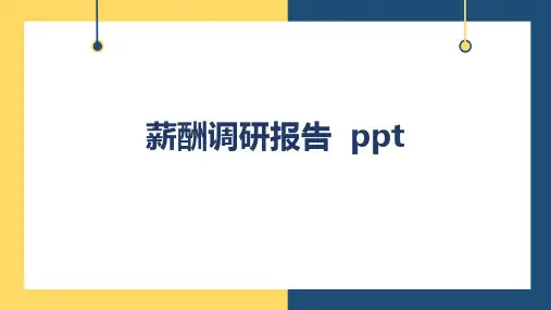 薪酬调研报告  ppt