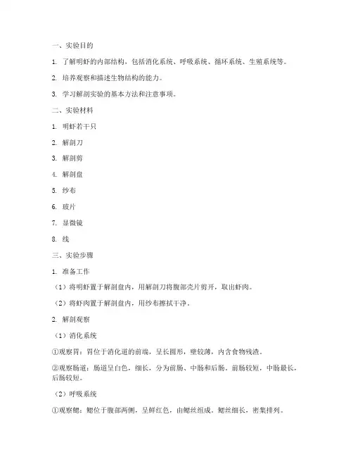 明虾解剖实验报告