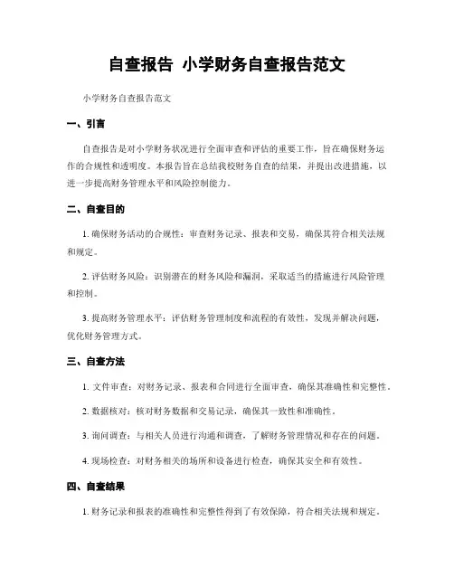 自查报告 小学财务自查报告范文