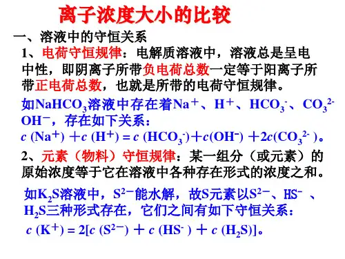溶液中离子浓度大小比较ppt课件