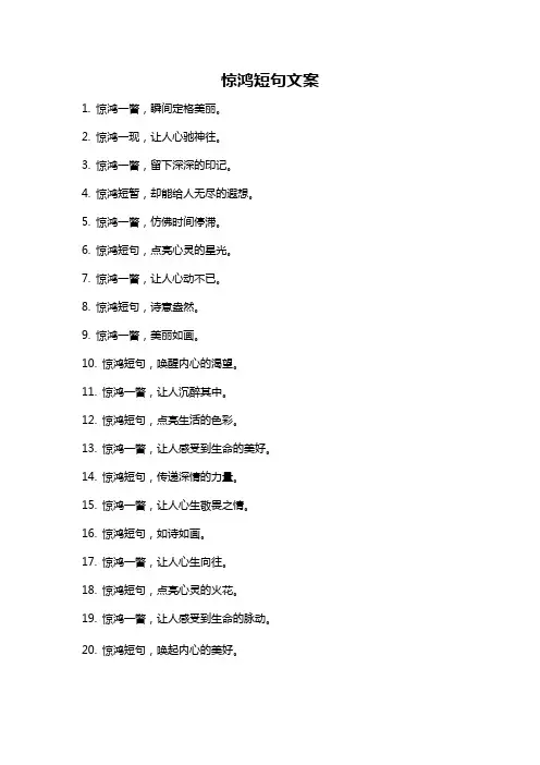 惊鸿短句文案