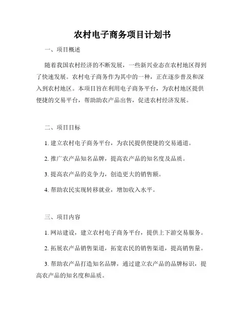 农村电子商务项目计划书