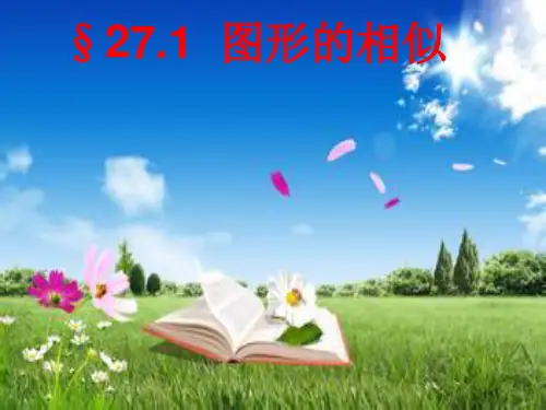 人教版九年级下册数学： 第二十七章 相似 271 图形的相似 相似多边形