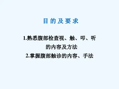 腹部查体