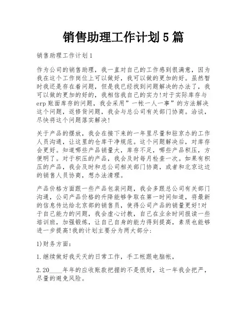 销售助理工作计划5篇