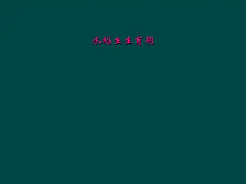 水稻生生育期