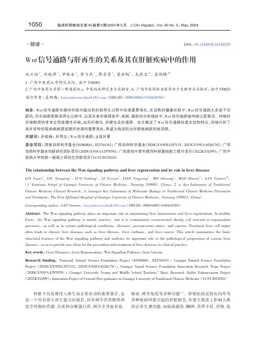 Wnt信号通路与肝再生的关系及其在肝脏疾病中的作用