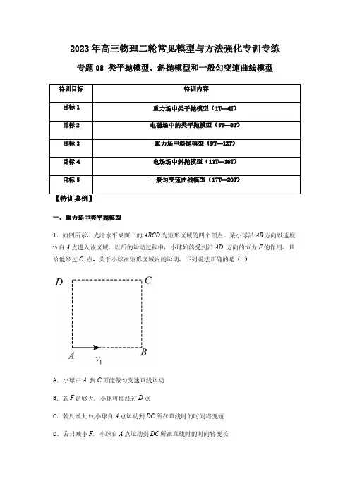 专题08 类平抛模型、斜抛模型和一般匀变速曲线模型(解析版)