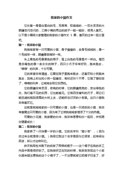 我家的小猫作文5篇