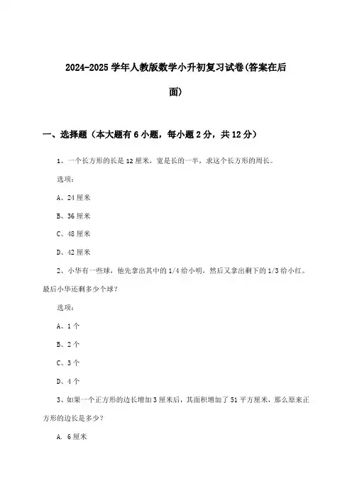 人教版数学小升初试卷及解答参考(2024-2025学年)