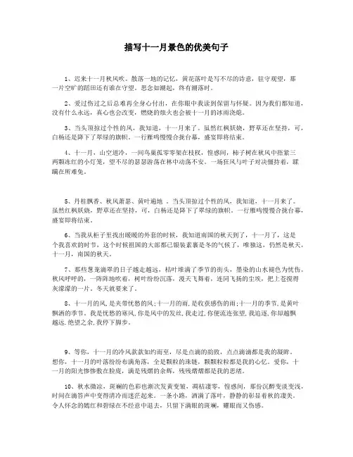 描写十一月景色的优美句子