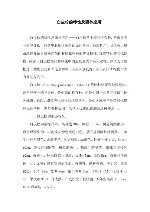 白皮松的特性及园林应用