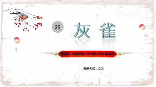 部编版三年级语文上册第八单元《灰雀》 PPT课件