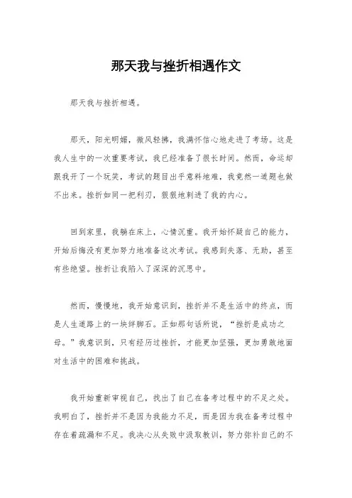 那天我与挫折相遇作文