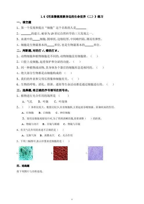 教科版六年级科学下册 《用显微镜观察身边的生命世界(二)》练习